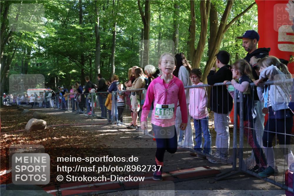 28.09.2025 - 33. Volkslauf durch das schöne Alstertal Strokosch-Dieckow http://msf.ph/oto/8962737 28.09.2025 10:58:41 Ziel 4095 meine-sportfotos.de