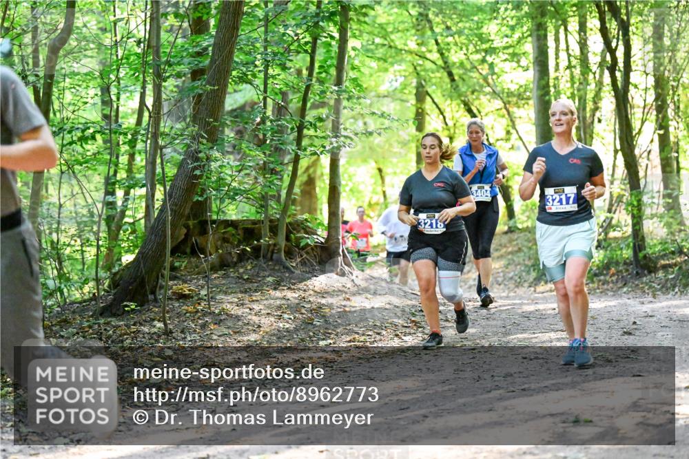 28.09.2025 - 33. Volkslauf durch das schöne Alstertal Dr. Thomas Lammeyer http://msf.ph/oto/8962773 28.09.2025 11:12:33 Laufen 3218, 3404, 3217 meine-sportfotos.de