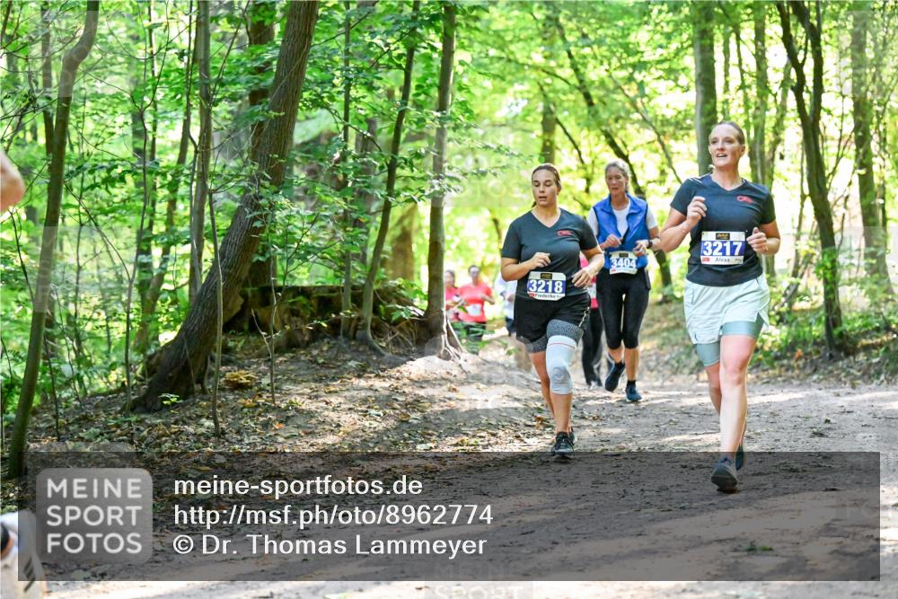 28.09.2025 - 33. Volkslauf durch das schöne Alstertal Dr. Thomas Lammeyer http://msf.ph/oto/8962774 28.09.2025 11:12:33 Laufen 3218, 3404, 3217 meine-sportfotos.de