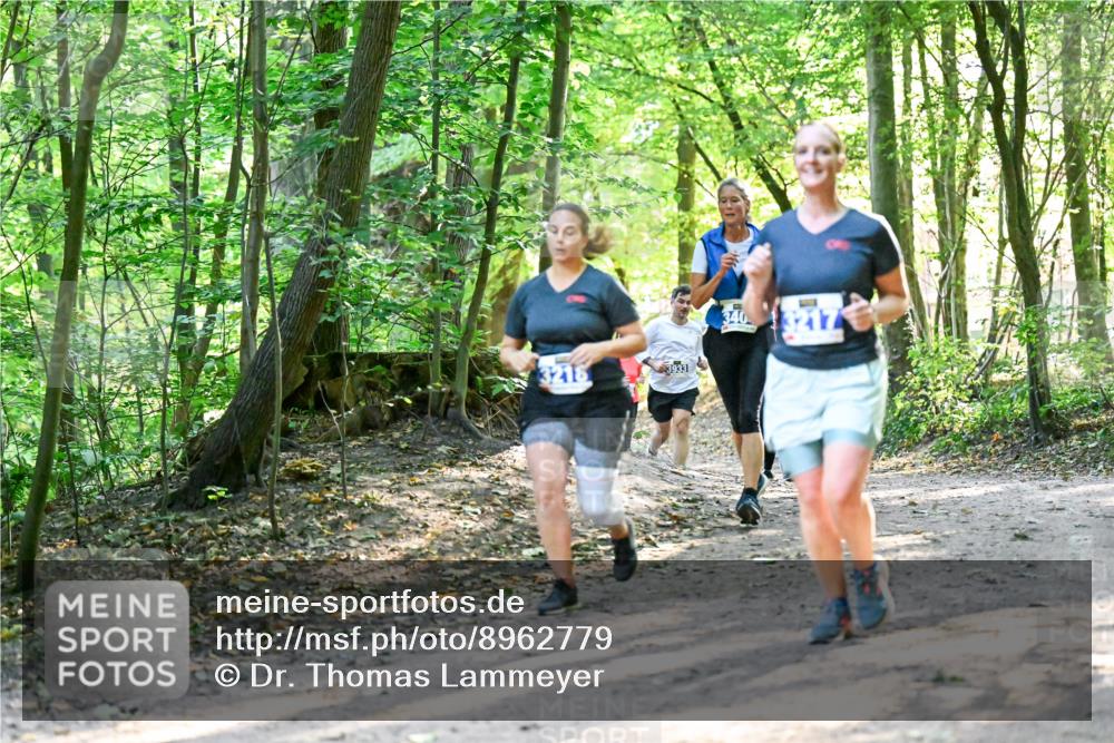 28.09.2025 - 33. Volkslauf durch das schöne Alstertal Dr. Thomas Lammeyer http://msf.ph/oto/8962779 28.09.2025 11:12:33 Laufen 3216, 3933, 340 meine-sportfotos.de