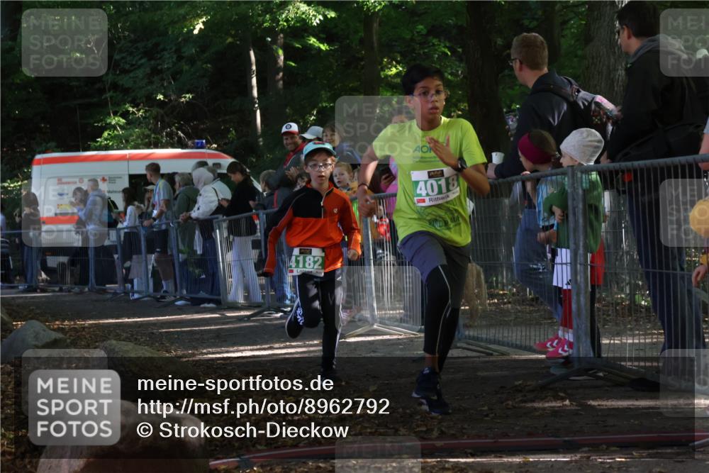 28.09.2025 - 33. Volkslauf durch das schöne Alstertal Strokosch-Dieckow http://msf.ph/oto/8962792 28.09.2025 10:58:54 Ziel 4018, 4182 meine-sportfotos.de