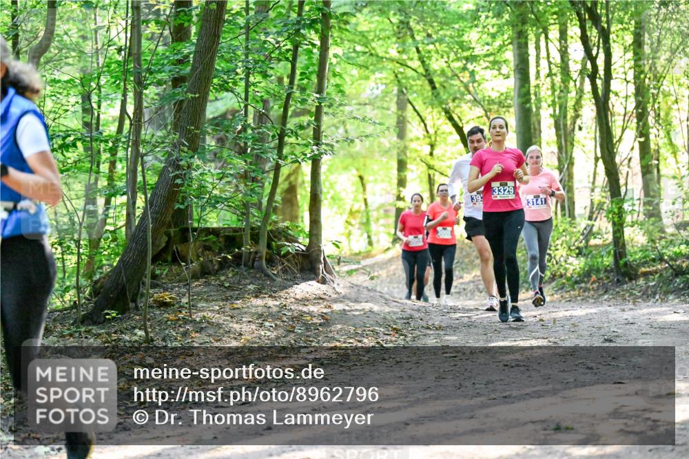 28.09.2025 - 33. Volkslauf durch das schöne Alstertal Dr. Thomas Lammeyer http://msf.ph/oto/8962796 28.09.2025 11:12:36 Laufen 3329, 39, 3141 meine-sportfotos.de
