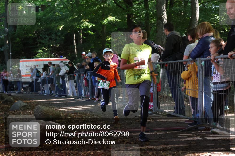 28.09.2025 - 33. Volkslauf durch das schöne Alstertal Strokosch-Dieckow http://msf.ph/oto/8962798 28.09.2025 10:58:54 Ziel 4018, 4182 meine-sportfotos.de