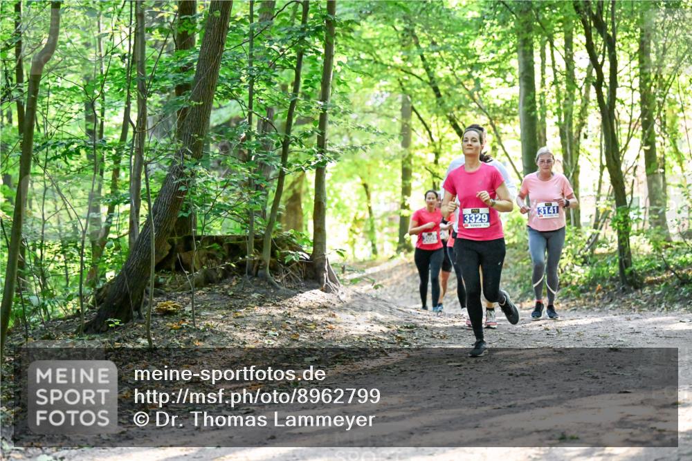 28.09.2025 - 33. Volkslauf durch das schöne Alstertal Dr. Thomas Lammeyer http://msf.ph/oto/8962799 28.09.2025 11:12:37 Laufen 3329, 3141 meine-sportfotos.de