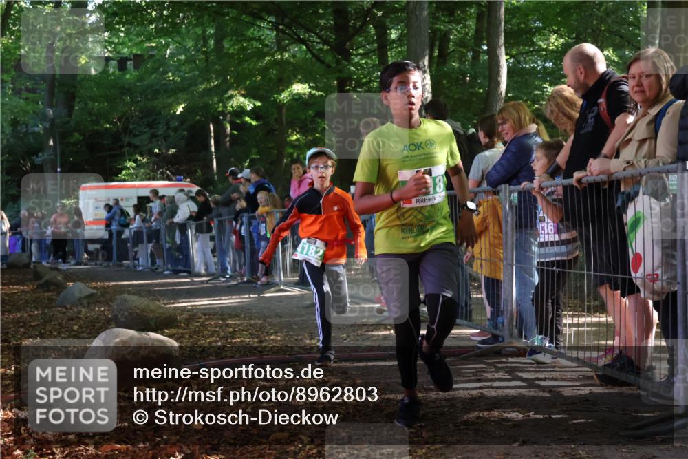28.09.2025 - 33. Volkslauf durch das schöne Alstertal Strokosch-Dieckow http://msf.ph/oto/8962803 28.09.2025 10:58:55 Ziel 4018, 4121, 4182 meine-sportfotos.de