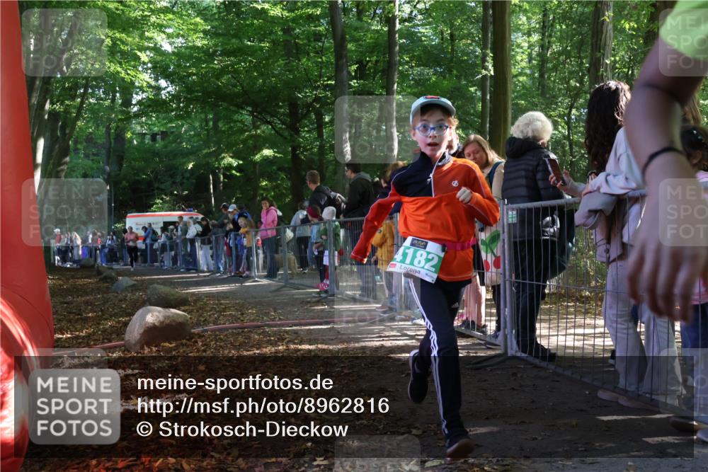 28.09.2025 - 33. Volkslauf durch das schöne Alstertal Strokosch-Dieckow http://msf.ph/oto/8962816 28.09.2025 10:58:56 Ziel 4018, 4121, 4182 meine-sportfotos.de