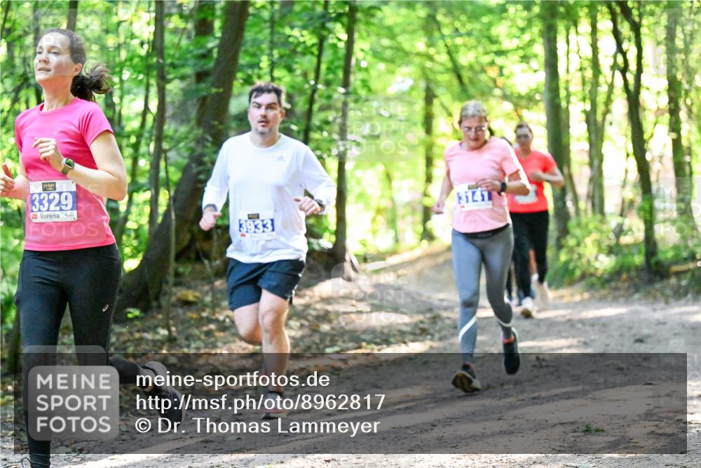 28.09.2025 - 33. Volkslauf durch das schöne Alstertal Dr. Thomas Lammeyer http://msf.ph/oto/8962817 28.09.2025 11:12:39 Laufen 3329, 3141, 3933 meine-sportfotos.de