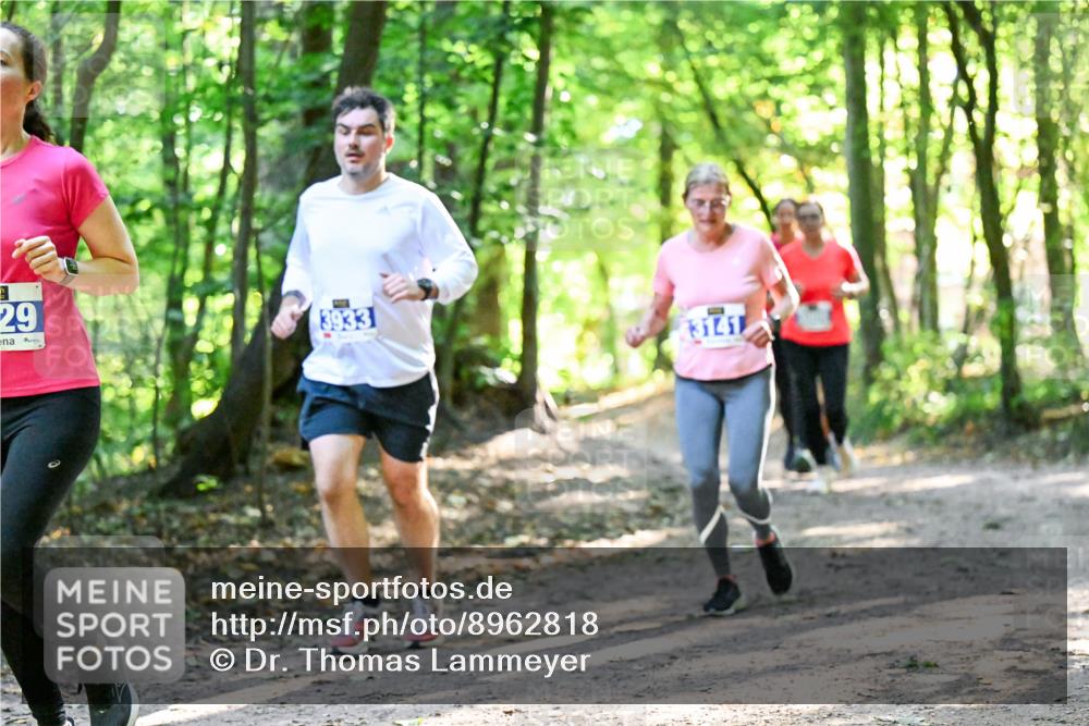 28.09.2025 - 33. Volkslauf durch das schöne Alstertal Dr. Thomas Lammeyer http://msf.ph/oto/8962818 28.09.2025 11:12:39 Laufen 29, 3933, 3141 meine-sportfotos.de