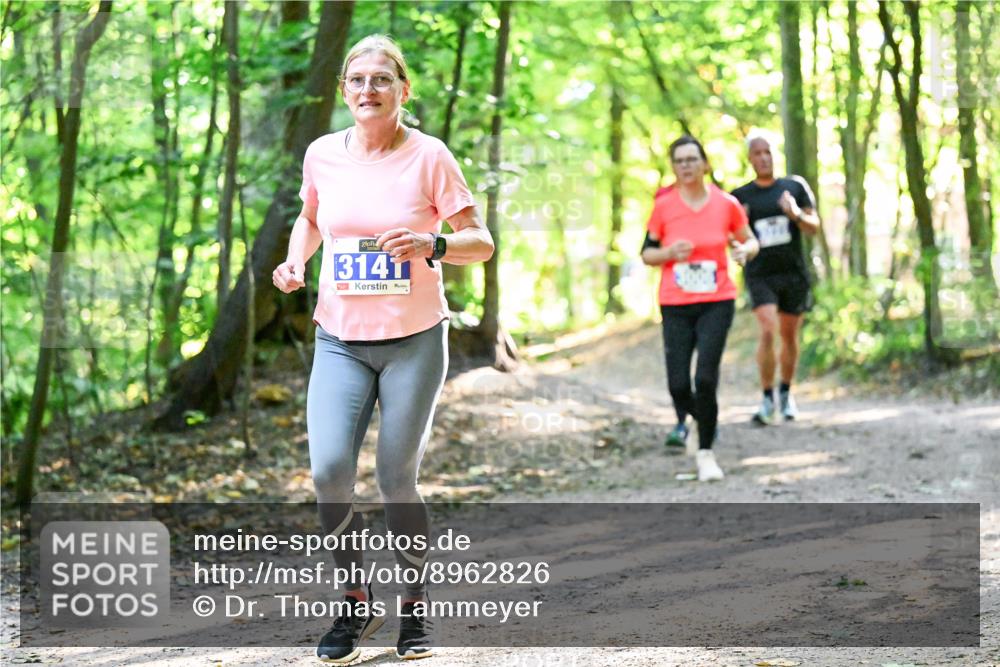 28.09.2025 - 33. Volkslauf durch das schöne Alstertal Dr. Thomas Lammeyer http://msf.ph/oto/8962826 28.09.2025 11:12:40 Laufen 3141 meine-sportfotos.de