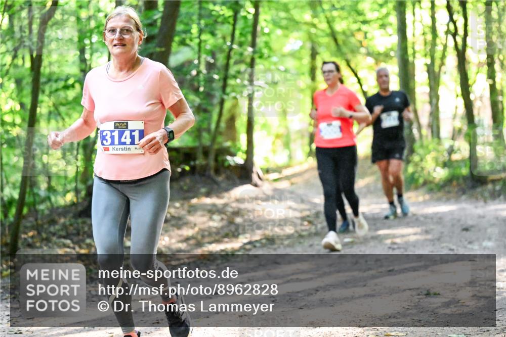 28.09.2025 - 33. Volkslauf durch das schöne Alstertal Dr. Thomas Lammeyer http://msf.ph/oto/8962828 28.09.2025 11:12:40 Laufen 3141 meine-sportfotos.de