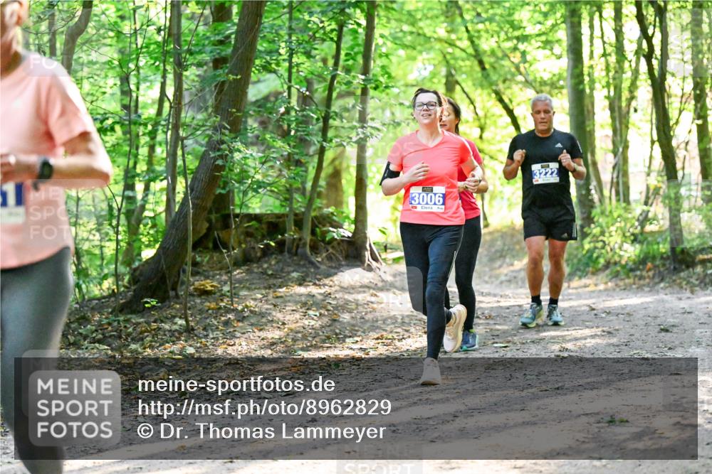 28.09.2025 - 33. Volkslauf durch das schöne Alstertal Dr. Thomas Lammeyer http://msf.ph/oto/8962829 28.09.2025 11:12:41 Laufen 3006, 3222 meine-sportfotos.de