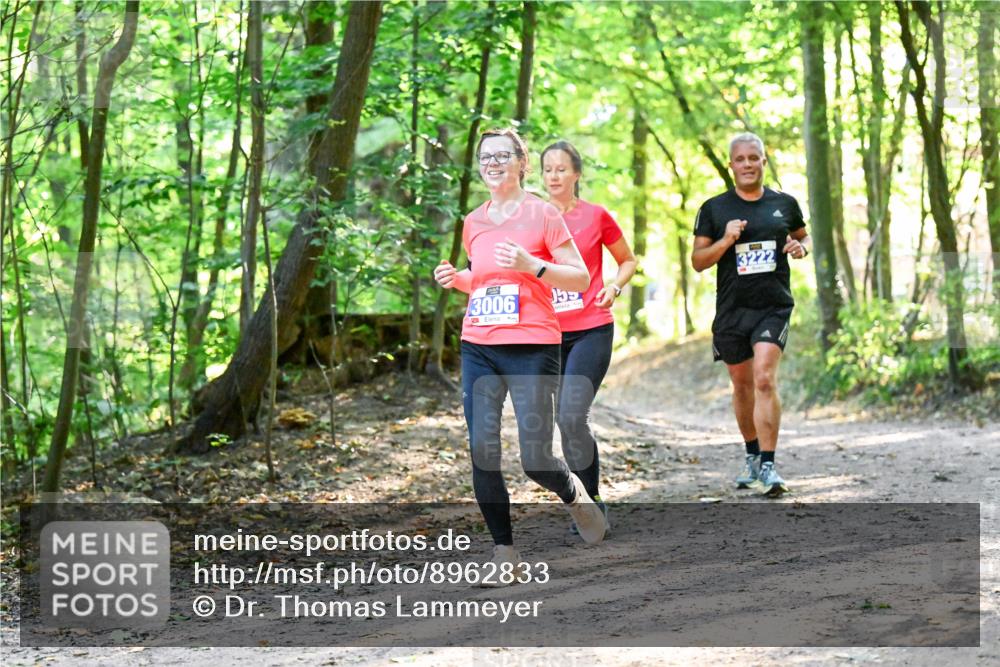 28.09.2025 - 33. Volkslauf durch das schöne Alstertal Dr. Thomas Lammeyer http://msf.ph/oto/8962833 28.09.2025 11:12:41 Laufen 3006, 3222 meine-sportfotos.de