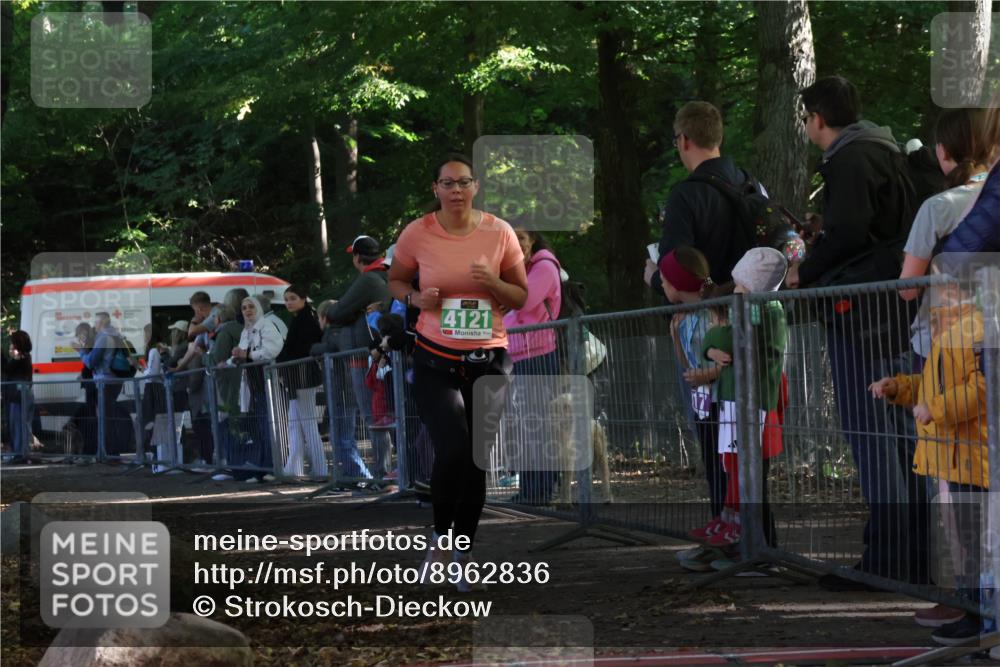 28.09.2025 - 33. Volkslauf durch das schöne Alstertal Strokosch-Dieckow http://msf.ph/oto/8962836 28.09.2025 10:59:02 Ziel 4102, 4121 meine-sportfotos.de