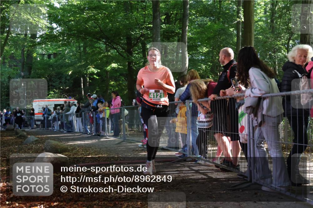 28.09.2025 - 33. Volkslauf durch das schöne Alstertal Strokosch-Dieckow http://msf.ph/oto/8962849 28.09.2025 10:59:04 Ziel 4101, 4102, 4121 meine-sportfotos.de