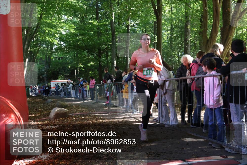 28.09.2025 - 33. Volkslauf durch das schöne Alstertal Strokosch-Dieckow http://msf.ph/oto/8962853 28.09.2025 10:59:05 Ziel 4101, 4102, 4121 meine-sportfotos.de