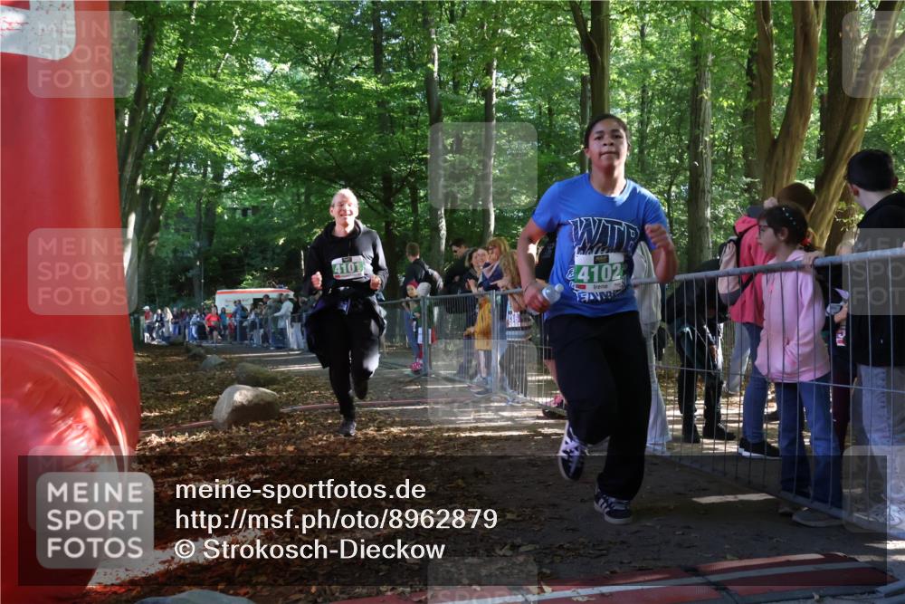 28.09.2025 - 33. Volkslauf durch das schöne Alstertal Strokosch-Dieckow http://msf.ph/oto/8962879 28.09.2025 10:59:12 Ziel 4101, 4102, 4917 meine-sportfotos.de