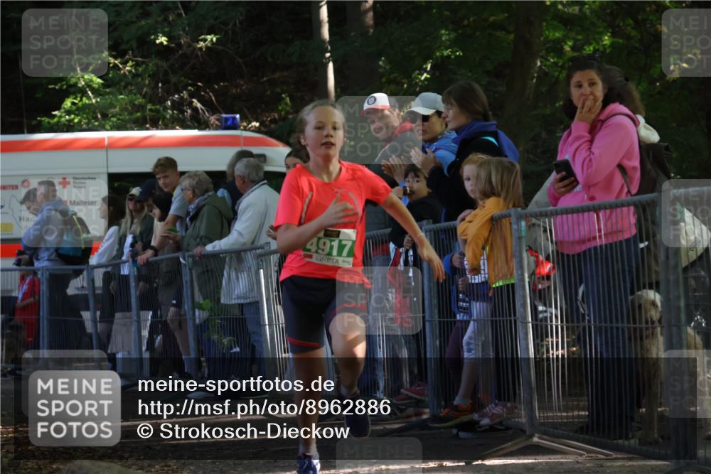28.09.2025 - 33. Volkslauf durch das schöne Alstertal Strokosch-Dieckow http://msf.ph/oto/8962886 28.09.2025 10:59:14 Ziel 4917 meine-sportfotos.de