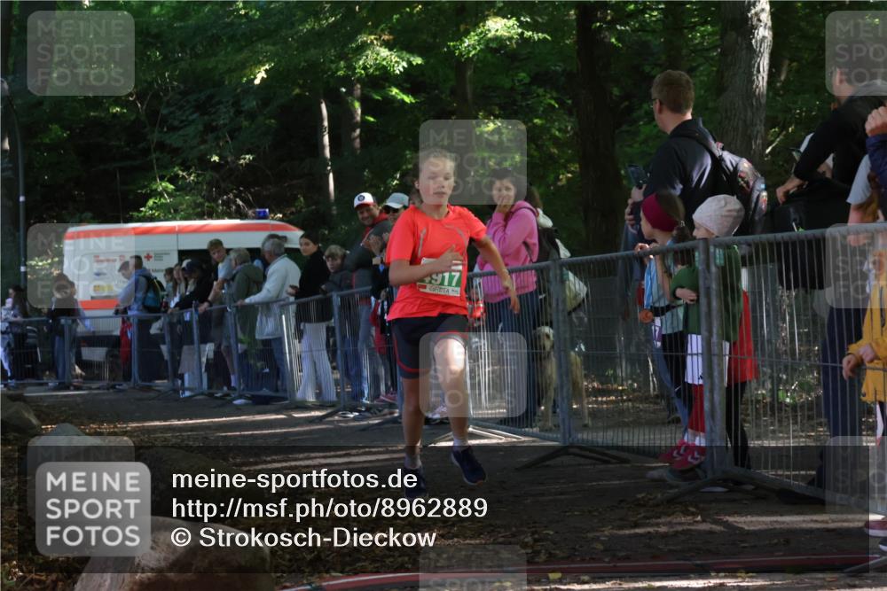 28.09.2025 - 33. Volkslauf durch das schöne Alstertal Strokosch-Dieckow http://msf.ph/oto/8962889 28.09.2025 10:59:15 Ziel 4917 meine-sportfotos.de