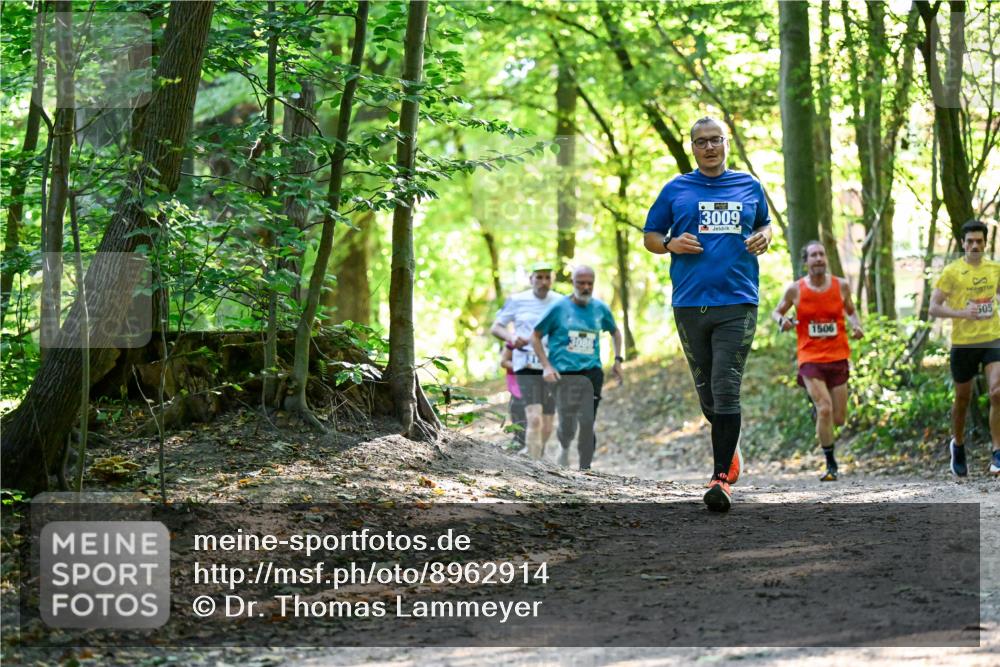 28.09.2025 - 33. Volkslauf durch das schöne Alstertal Dr. Thomas Lammeyer http://msf.ph/oto/8962914 28.09.2025 11:13:08 Laufen 3086, 3009, 1506, 505 meine-sportfotos.de