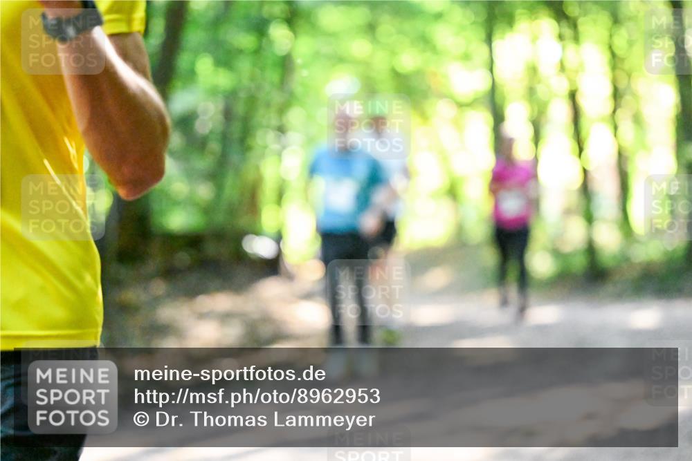 28.09.2025 - 33. Volkslauf durch das schöne Alstertal Dr. Thomas Lammeyer http://msf.ph/oto/8962953 28.09.2025 11:13:13 Laufen  meine-sportfotos.de