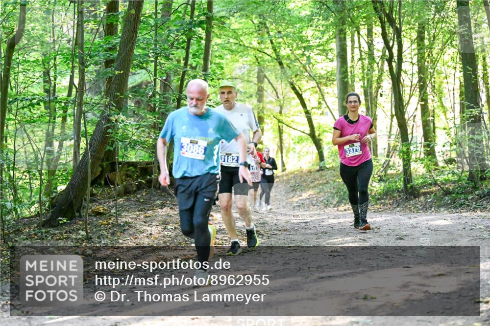28.09.2025 - 33. Volkslauf durch das schöne Alstertal Dr. Thomas Lammeyer http://msf.ph/oto/8962955 28.09.2025 11:13:14 Laufen 3086, 3182, 3379 meine-sportfotos.de