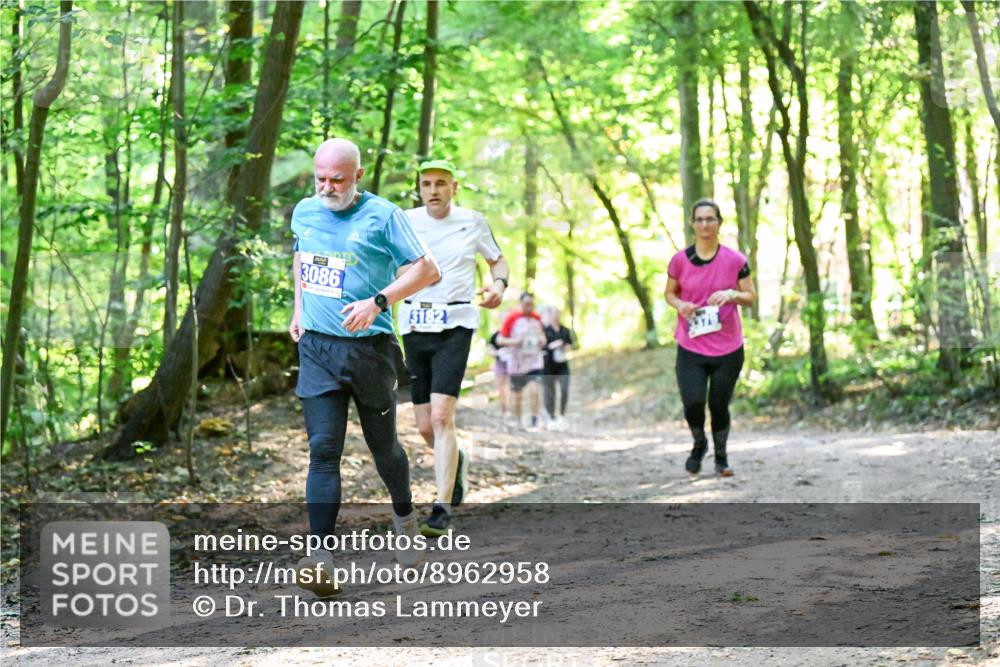 28.09.2025 - 33. Volkslauf durch das schöne Alstertal Dr. Thomas Lammeyer http://msf.ph/oto/8962958 28.09.2025 11:13:14 Laufen 3086, 3182 meine-sportfotos.de