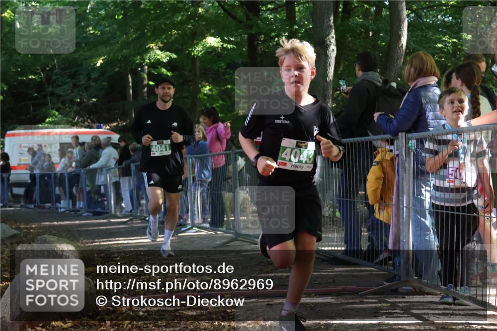 28.09.2025 - 33. Volkslauf durch das schöne Alstertal Strokosch-Dieckow http://msf.ph/oto/8962969 28.09.2025 11:00:33 Ziel 4041, 4043 meine-sportfotos.de