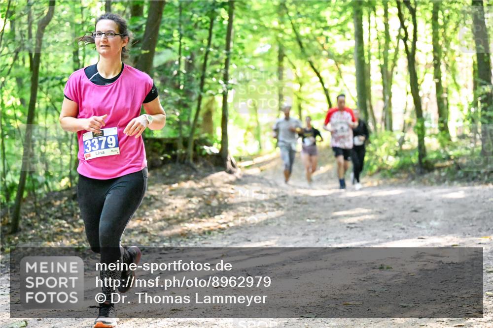 28.09.2025 - 33. Volkslauf durch das schöne Alstertal Dr. Thomas Lammeyer http://msf.ph/oto/8962979 28.09.2025 11:13:17 Laufen 3379 meine-sportfotos.de