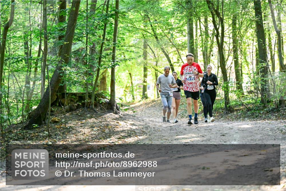 28.09.2025 - 33. Volkslauf durch das schöne Alstertal Dr. Thomas Lammeyer http://msf.ph/oto/8962988 28.09.2025 11:13:18 Laufen 3175, 3064 meine-sportfotos.de