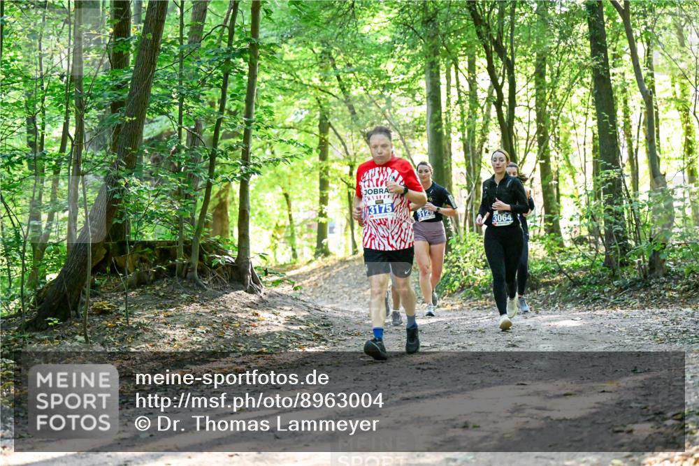 28.09.2025 - 33. Volkslauf durch das schöne Alstertal Dr. Thomas Lammeyer http://msf.ph/oto/8963004 28.09.2025 11:13:20 Laufen 3175, 3129, 3064 meine-sportfotos.de