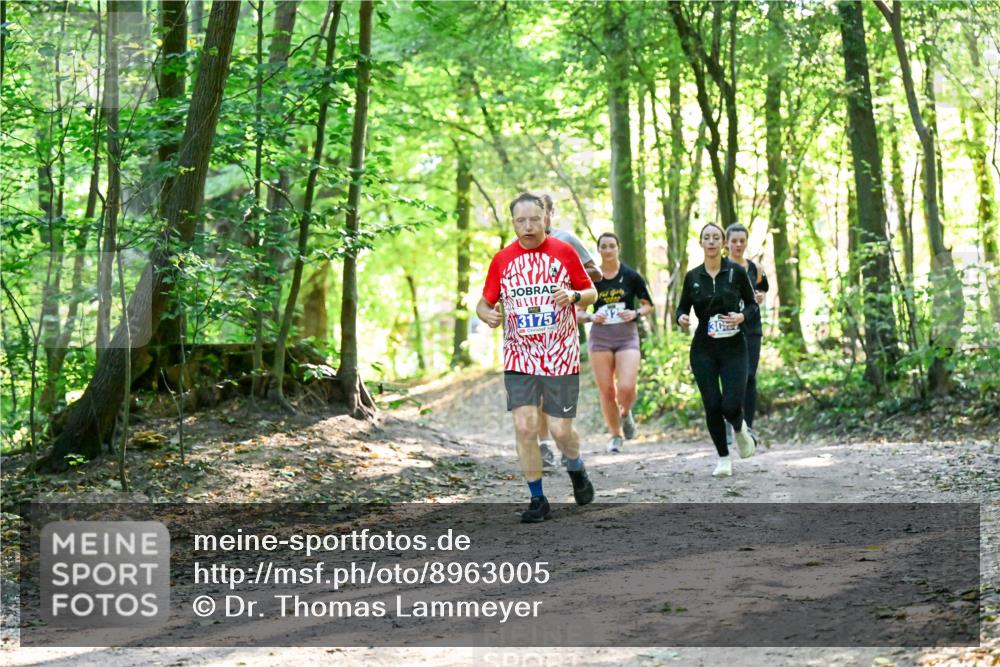28.09.2025 - 33. Volkslauf durch das schöne Alstertal Dr. Thomas Lammeyer http://msf.ph/oto/8963005 28.09.2025 11:13:20 Laufen 31754, 30 meine-sportfotos.de