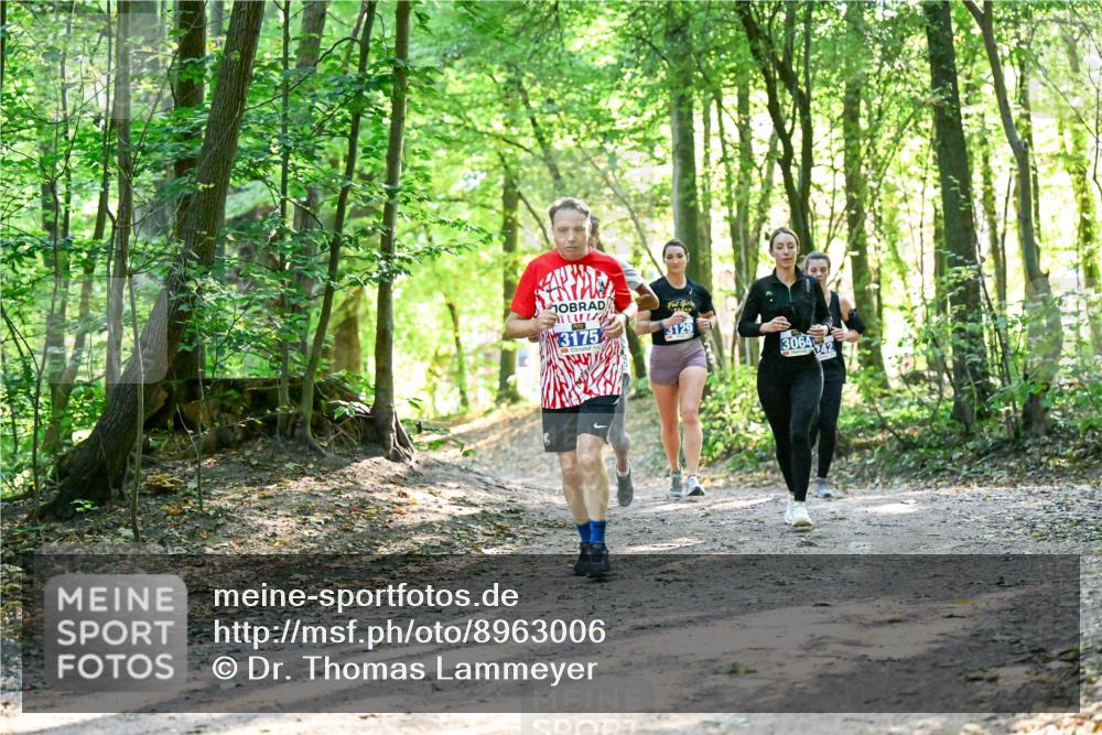 28.09.2025 - 33. Volkslauf durch das schöne Alstertal Dr. Thomas Lammeyer http://msf.ph/oto/8963006 28.09.2025 11:13:20 Laufen 3175, 3129, 3064, 42 meine-sportfotos.de