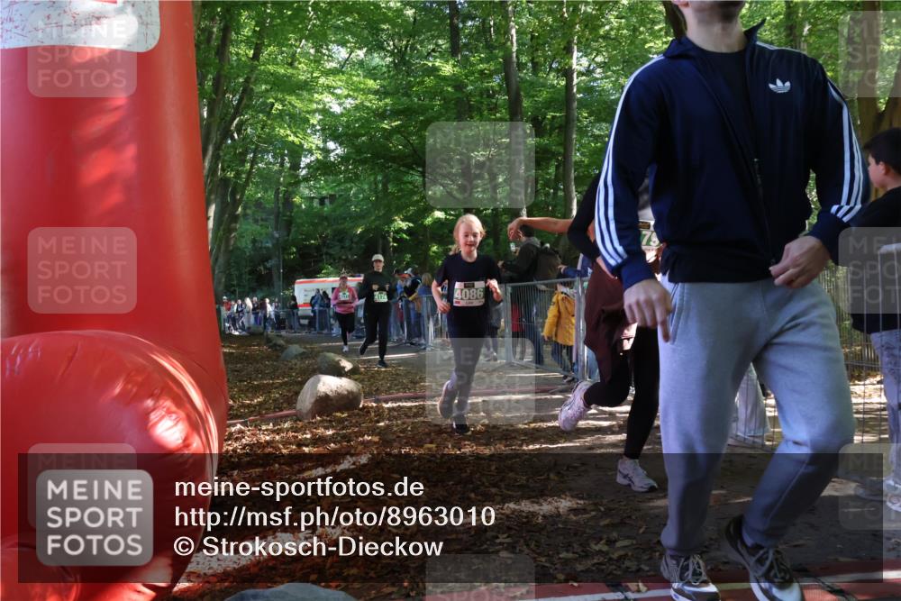 28.09.2025 - 33. Volkslauf durch das schöne Alstertal Strokosch-Dieckow http://msf.ph/oto/8963010 28.09.2025 11:01:13 Ziel 4070, 4086, 4171, 4174, 4178, 4179 meine-sportfotos.de