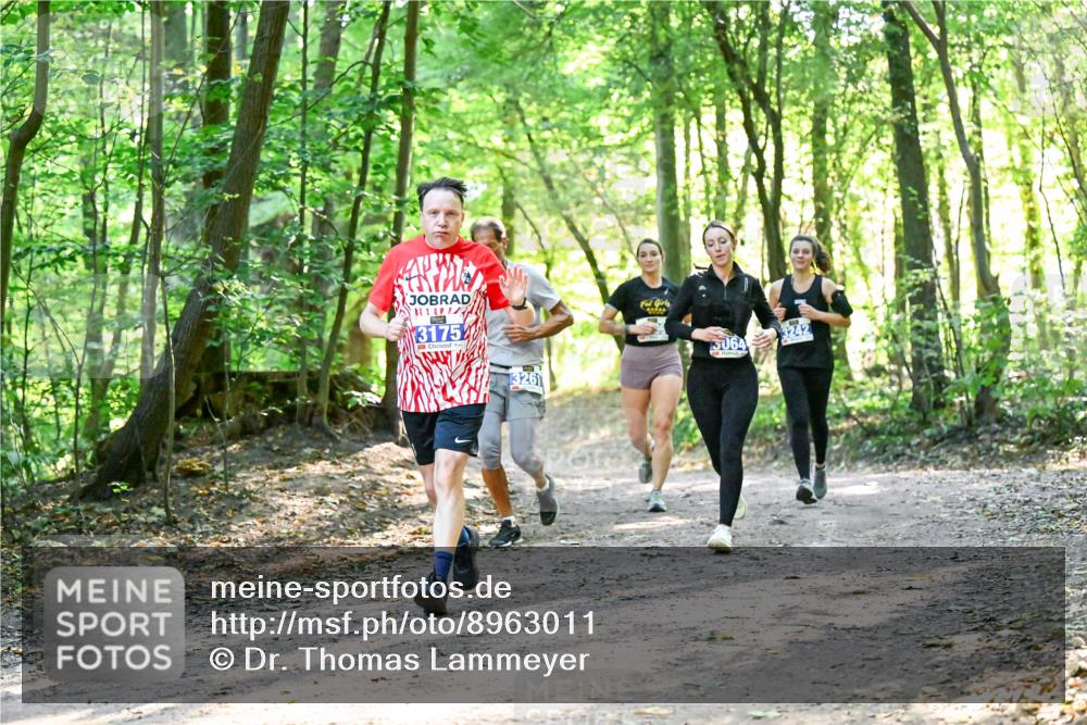 28.09.2025 - 33. Volkslauf durch das schöne Alstertal Dr. Thomas Lammeyer http://msf.ph/oto/8963011 28.09.2025 11:13:21 Laufen 3175, 3261, 3242, 5064 meine-sportfotos.de