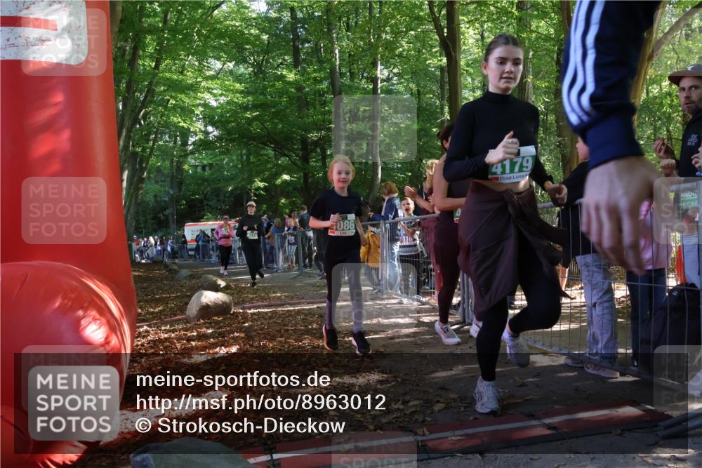 28.09.2025 - 33. Volkslauf durch das schöne Alstertal Strokosch-Dieckow http://msf.ph/oto/8963012 28.09.2025 11:01:13 Ziel 4070, 4086, 4171, 4174, 4178, 4179 meine-sportfotos.de