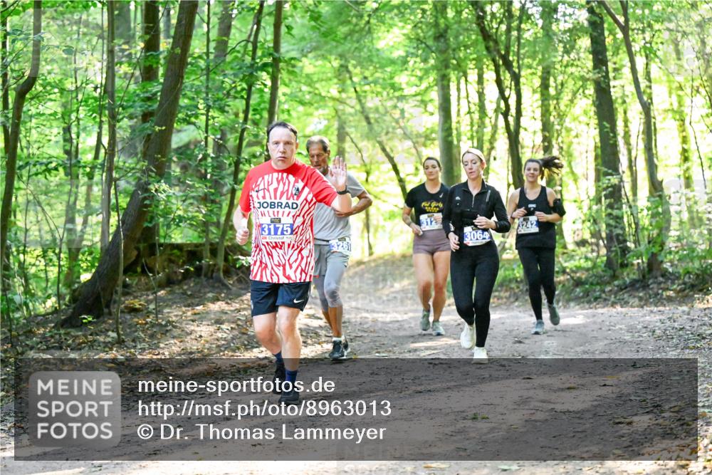 28.09.2025 - 33. Volkslauf durch das schöne Alstertal Dr. Thomas Lammeyer http://msf.ph/oto/8963013 28.09.2025 11:13:21 Laufen 3175, 312, 3064 meine-sportfotos.de