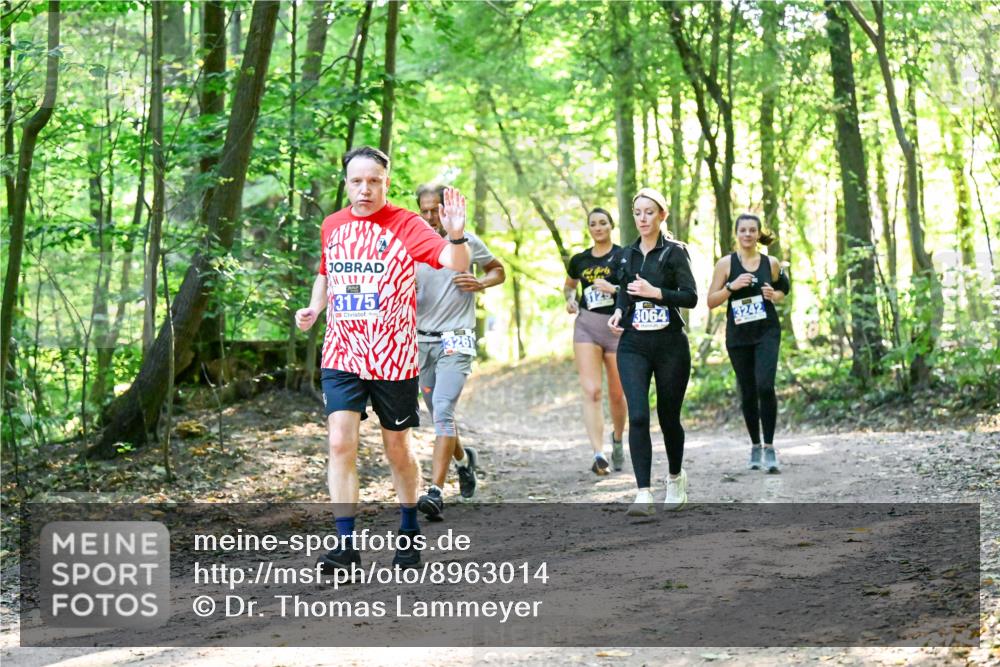 28.09.2025 - 33. Volkslauf durch das schöne Alstertal Dr. Thomas Lammeyer http://msf.ph/oto/8963014 28.09.2025 11:13:21 Laufen 3175, 3261, 3064, 3242 meine-sportfotos.de