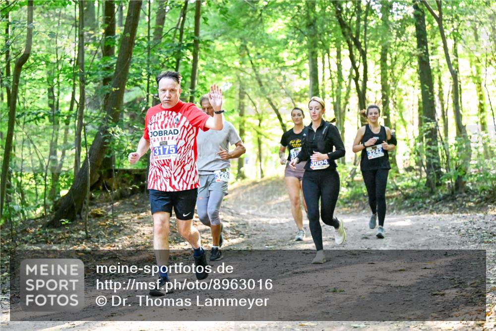 28.09.2025 - 33. Volkslauf durch das schöne Alstertal Dr. Thomas Lammeyer http://msf.ph/oto/8963016 28.09.2025 11:13:21 Laufen 3175, 326, 5004, 3242 meine-sportfotos.de