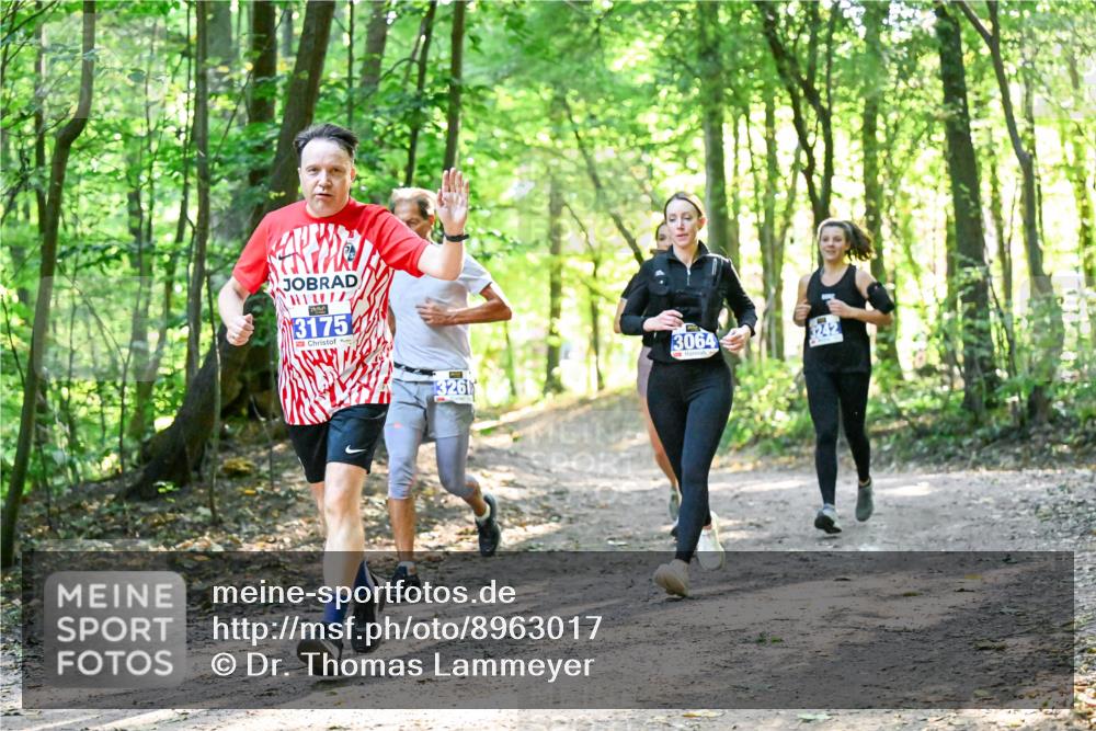 28.09.2025 - 33. Volkslauf durch das schöne Alstertal Dr. Thomas Lammeyer http://msf.ph/oto/8963017 28.09.2025 11:13:22 Laufen 3175, 3261, 3064, 3242 meine-sportfotos.de