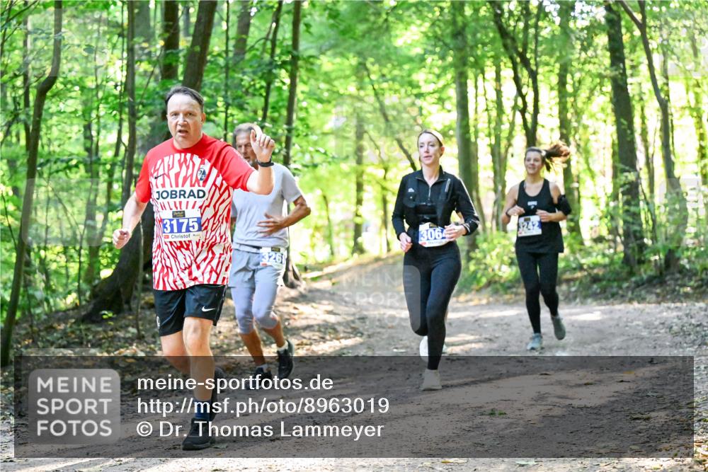 28.09.2025 - 33. Volkslauf durch das schöne Alstertal Dr. Thomas Lammeyer http://msf.ph/oto/8963019 28.09.2025 11:13:22 Laufen 3175, 3261, 3064 meine-sportfotos.de