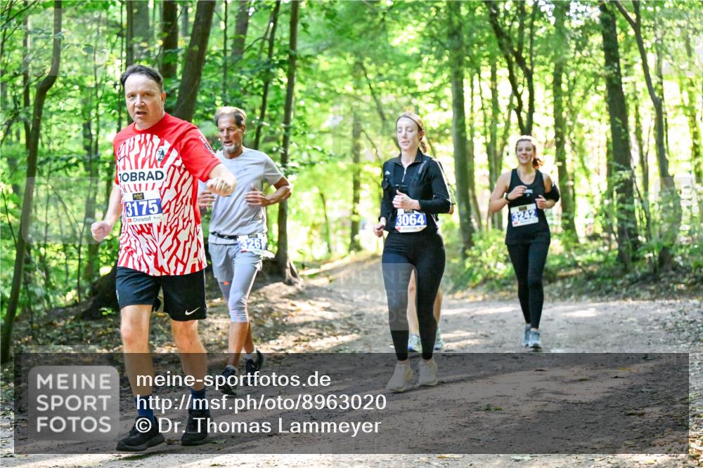 28.09.2025 - 33. Volkslauf durch das schöne Alstertal Dr. Thomas Lammeyer http://msf.ph/oto/8963020 28.09.2025 11:13:22 Laufen 3175, 326, 3064, 3242 meine-sportfotos.de