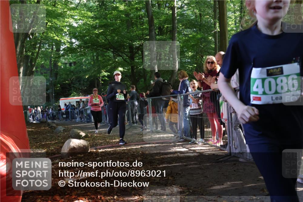28.09.2025 - 33. Volkslauf durch das schöne Alstertal Strokosch-Dieckow http://msf.ph/oto/8963021 28.09.2025 11:01:14 Ziel 4070, 4171, 4174 meine-sportfotos.de
