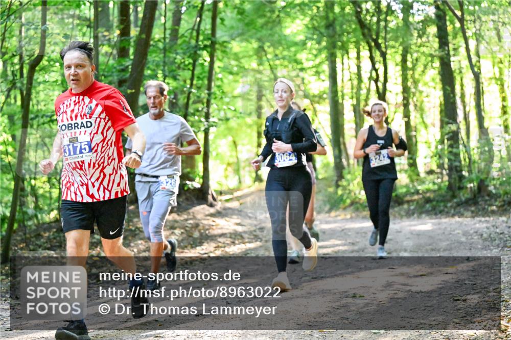 28.09.2025 - 33. Volkslauf durch das schöne Alstertal Dr. Thomas Lammeyer http://msf.ph/oto/8963022 28.09.2025 11:13:22 Laufen 10, 3175, 3064, 3242 meine-sportfotos.de