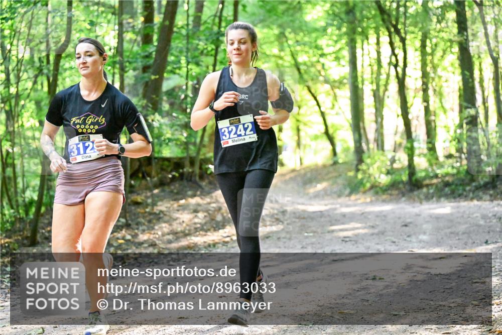 28.09.2025 - 33. Volkslauf durch das schöne Alstertal Dr. Thomas Lammeyer http://msf.ph/oto/8963033 28.09.2025 11:13:24 Laufen 00000, 0000, 312, 3242 meine-sportfotos.de