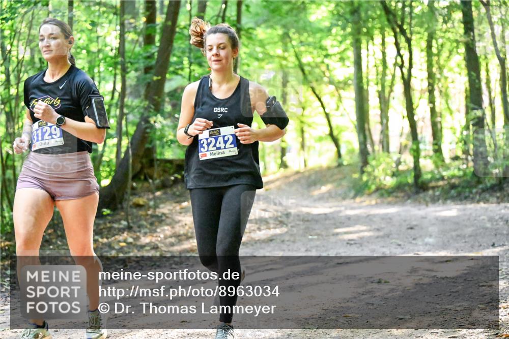 28.09.2025 - 33. Volkslauf durch das schöne Alstertal Dr. Thomas Lammeyer http://msf.ph/oto/8963034 28.09.2025 11:13:24 Laufen 3129, 7, 3242 meine-sportfotos.de