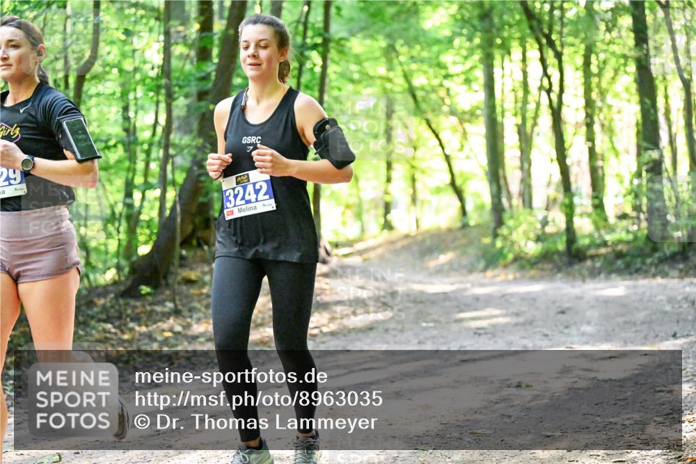 28.09.2025 - 33. Volkslauf durch das schöne Alstertal Dr. Thomas Lammeyer http://msf.ph/oto/8963035 28.09.2025 11:13:24 Laufen 29, 3242 meine-sportfotos.de