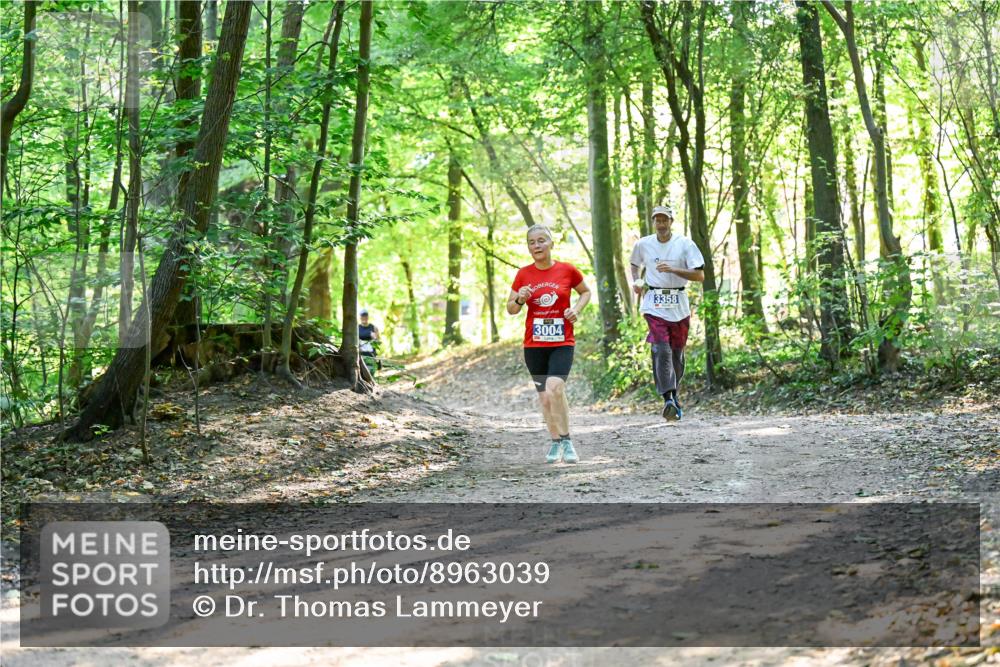 28.09.2025 - 33. Volkslauf durch das schöne Alstertal Dr. Thomas Lammeyer http://msf.ph/oto/8963039 28.09.2025 11:13:38 Laufen 3004, 3358 meine-sportfotos.de