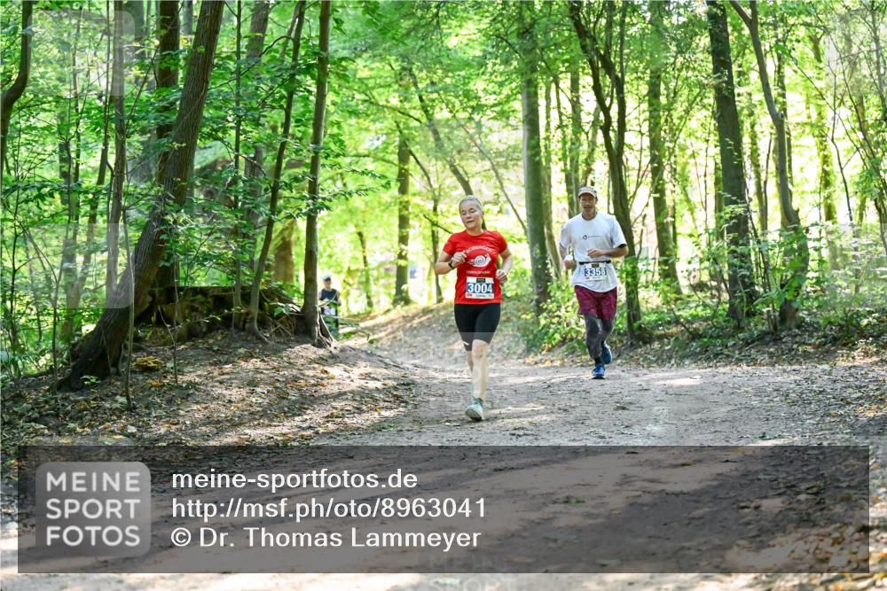 28.09.2025 - 33. Volkslauf durch das schöne Alstertal Dr. Thomas Lammeyer http://msf.ph/oto/8963041 28.09.2025 11:13:38 Laufen 3004, 3358 meine-sportfotos.de