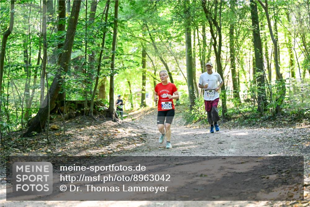 28.09.2025 - 33. Volkslauf durch das schöne Alstertal Dr. Thomas Lammeyer http://msf.ph/oto/8963042 28.09.2025 11:13:38 Laufen 3004, 3358 meine-sportfotos.de