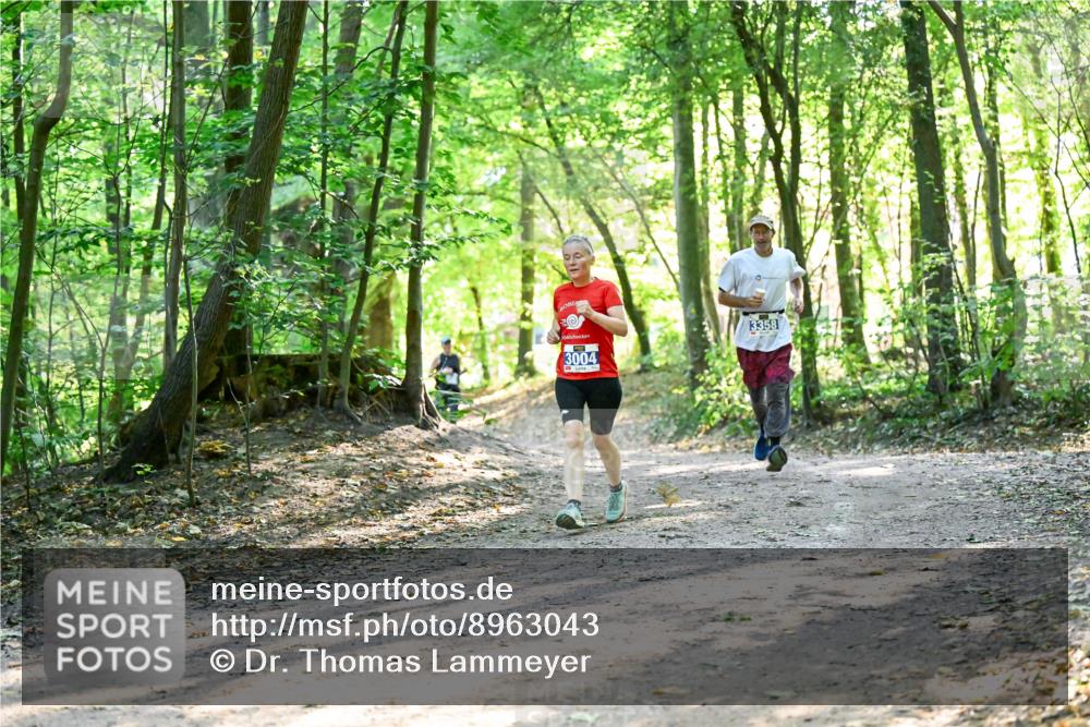 28.09.2025 - 33. Volkslauf durch das schöne Alstertal Dr. Thomas Lammeyer http://msf.ph/oto/8963043 28.09.2025 11:13:38 Laufen 3004, 3358 meine-sportfotos.de